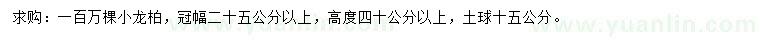 求購高40公分以上小龍柏
