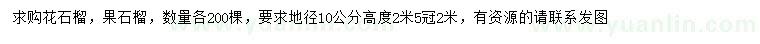 求購地徑10公分花石榴、果石榴