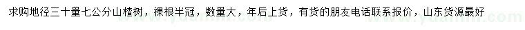 求購地徑30公分量7公分山楂