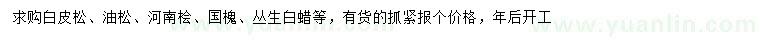 求購(gòu)白皮松、油松、河南檜等