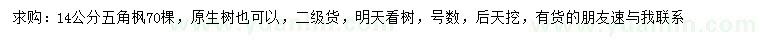 求購14公分五角楓