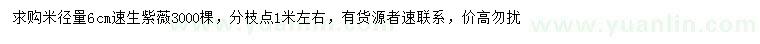 求購米徑量6公分速生紫薇