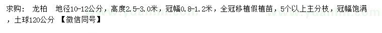 求購地徑10-12公分龍柏