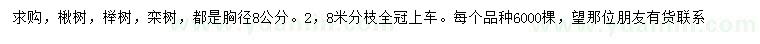 求購楸樹、櫸樹、欒樹