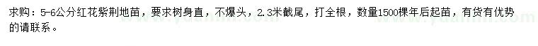 求購5-6公分紅花紫荊地苗