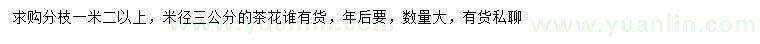 求購米徑3公分茶花