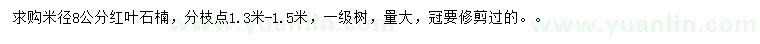 求購米徑8公分紅葉石楠