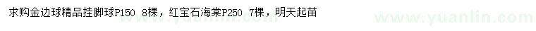 求購(gòu)冠幅150公分金邊球、250公分紅寶石海棠
