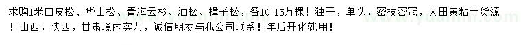 求購白皮松、華山松、青海云杉等