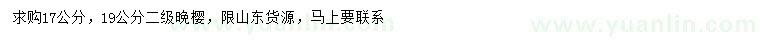 求購(gòu)17、19公分晚櫻