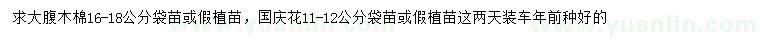 求購16-18公分大腹木棉、11-12公分國慶花