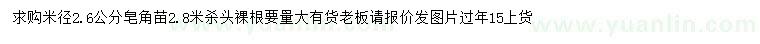 求購米徑2.6公分皂角苗