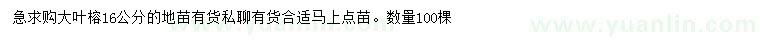 求購16公分大葉榕