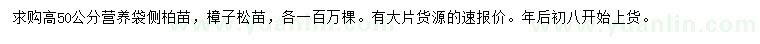 求購高50公分側(cè)柏苗、樟子松苗