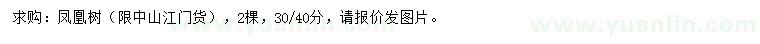 求購(gòu)30、40公分鳳凰樹(shù)