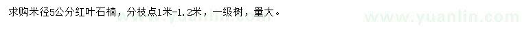 求購(gòu)米徑5公分紅葉石楠