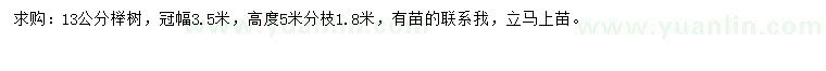 求購13公分櫸樹