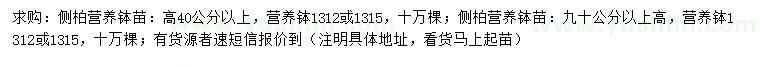 求購高40、90公分以上側(cè)柏