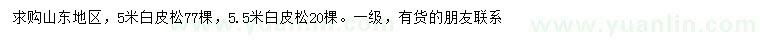 求購5、5.5米白皮松