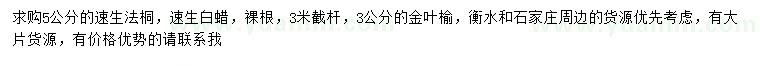 求購5公分速生法桐、速生白蠟