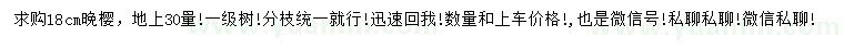 求購地上30量18公分晚櫻