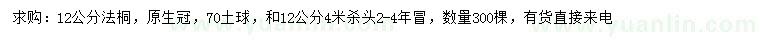 求購12公分法桐