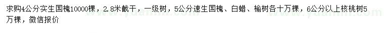 求購國槐、速生國槐、白蠟等