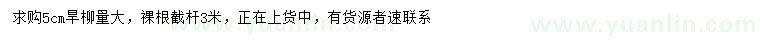 求購5公分旱柳