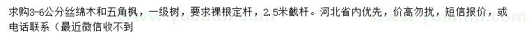 求購(gòu)4、5、6公分絲綿木、五角楓