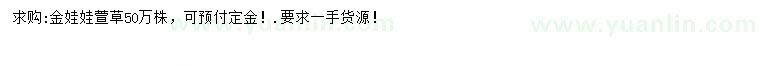 求購(gòu)金娃娃萱草