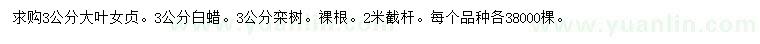 求購大葉女貞、白蠟、欒樹
