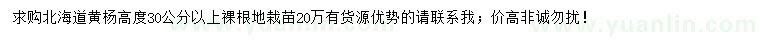 求購高30公分以上北海道黃楊