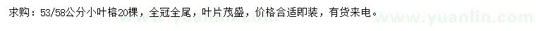 求購(gòu)53、58公分小葉榕
