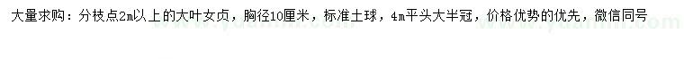 求購胸徑10公分大葉女貞