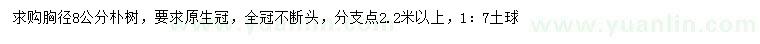 求購胸徑8公分樸樹