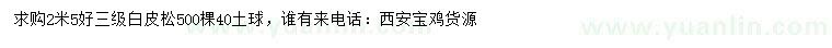 求購2米白皮松