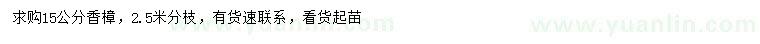 求購15公分香樟