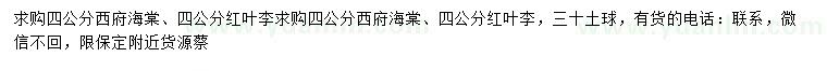 求購4公分西府海棠、紅葉李