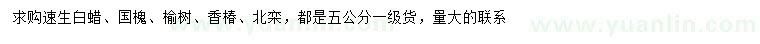 求購(gòu)速生白蠟、國(guó)槐、榆樹等