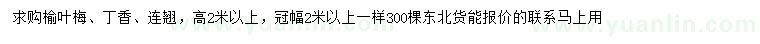 求購榆葉梅、丁香、連翹