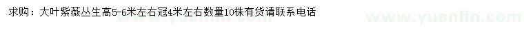 求購(gòu)高5-6米大葉紫薇