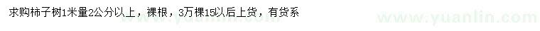 求購1米量2公分以上柿子樹