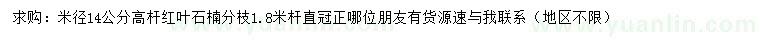 求購米徑14公分高桿紅葉石楠