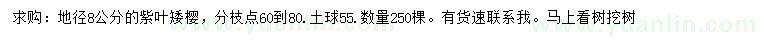 求購地徑8公分紫葉矮櫻
