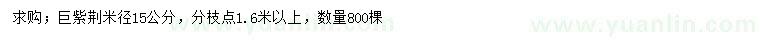 求購米徑15公分巨紫荊
