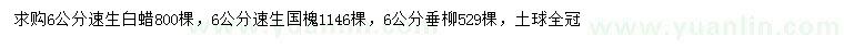 求購速生白蠟、速生國槐、垂柳