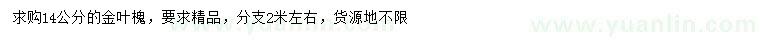 求購(gòu)14公分金葉槐