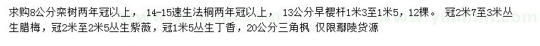 求購(gòu)欒樹(shù)、速生法桐、早櫻等
