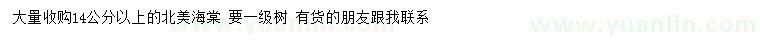 求購14公分以上北美海棠