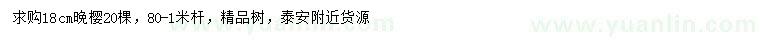 求購18公分晚櫻
